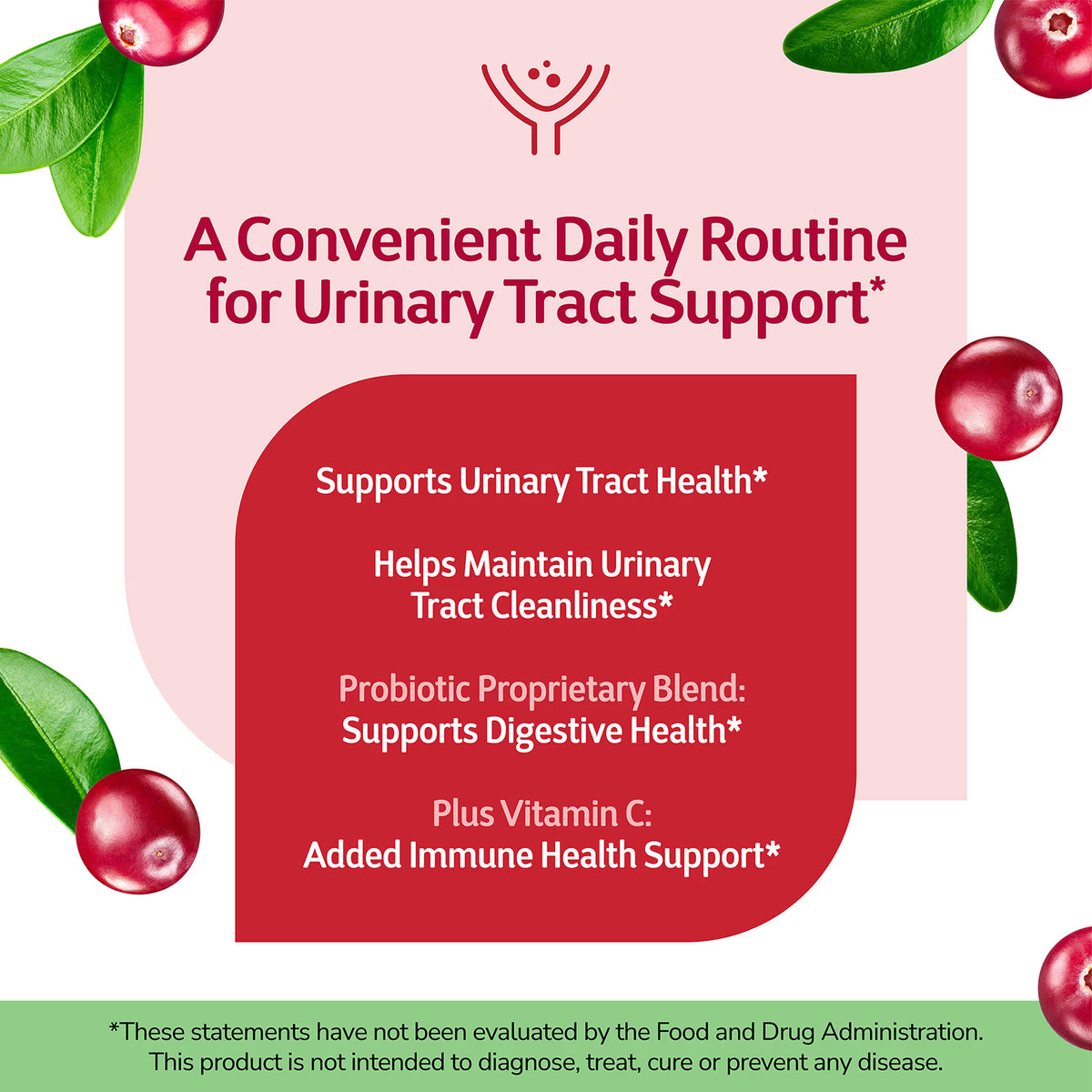 21st Century Cranberry Plus Probiotic|| Urinary Tract, Digestive & Immune Support || 60 Tablets || Exp; 03/2029 s