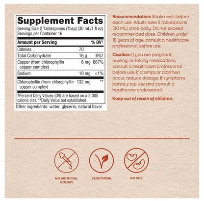 Nature’s Way Chlorofresh® Liquid Chlorophyll Supplement | Internal Deodorant | 𝗨𝗡𝗙𝗟𝗔𝗩𝗢𝗥𝗘𝗗 ~ 16oz/480ml; Exp 02/2028 *New Look