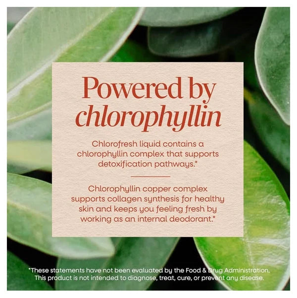 Nature’s Way Chlorofresh® Liquid Chlorophyll Supplement | Internal Deodorant | 𝗨𝗡𝗙𝗟𝗔𝗩𝗢𝗥𝗘𝗗 ~ 16oz/480ml; Exp 02/2028 *New Look